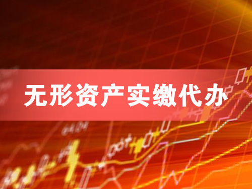 延边无形资产实缴资本代办